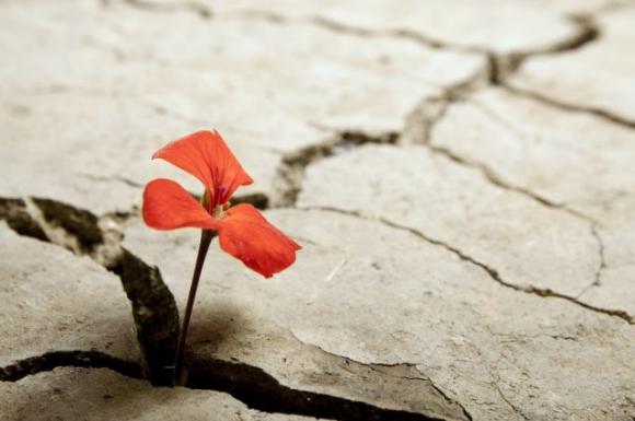 I 6 segni zodiacali che nel 2019 troveranno la vera felicità! Sei tra questi?