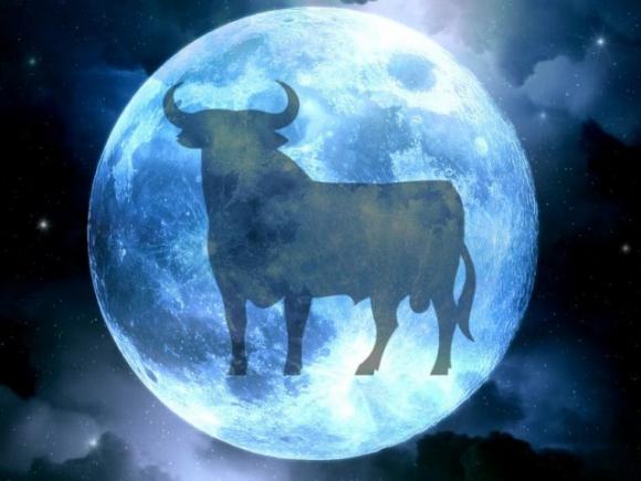 5 motivi per cui una persona del Toro è il miglior amico che tu possa mai avere