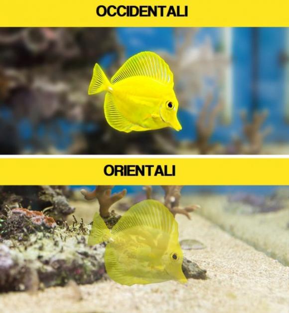 Qual è l’immagine fuori luogo? La risposta dirà molto sul tuo modo di pensare