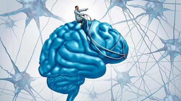 Camminare aiuta a mantenere il cervello sano: allevia la tristezza e lo stress
