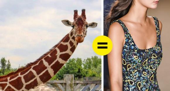 14 cose sorprendenti che probabilmente non sapevi
