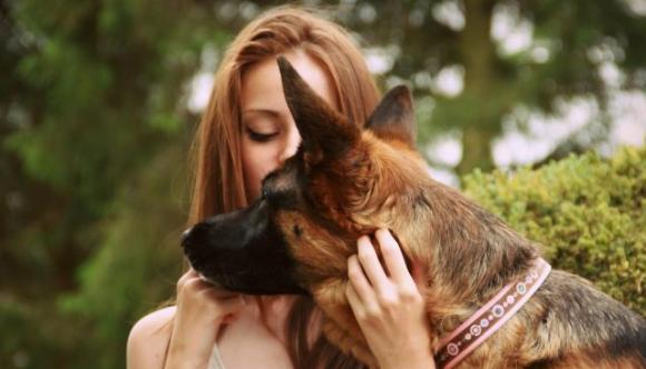 Tratti il tuo animale domestico come un figlio? Ecco perché: