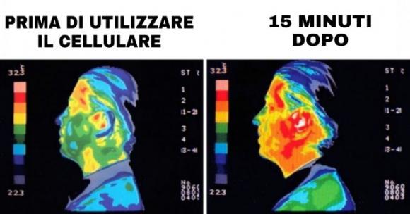 14 cose sorprendenti che probabilmente non sapevi