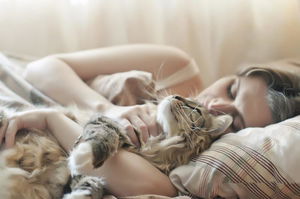 sognare gatti
