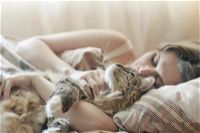 Sognare gatti: significato e come interpretare il sogno