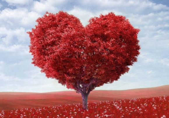 I 5 segni zodiacali che saranno più aperti all’amore nel 2019