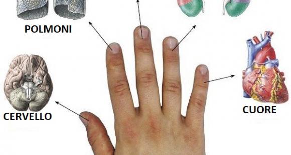 Antico metodo giapponese: stimola diversi punti delle dita per curare alcuni disturbi gravi