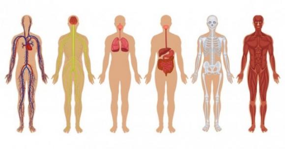 Kit di primo soccorso in casa: 8 regole che spesso ignoriamo e che possono influire sulla nostra salute