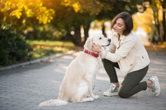 Tratti il tuo animale domestico come un figlio? Ecco perché:
