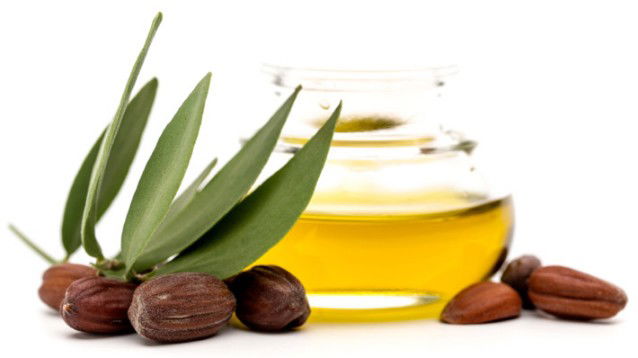 Olio di jojoba: usi e benefici e proprietà