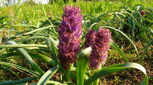 1547225973_5c38cb74d71e0