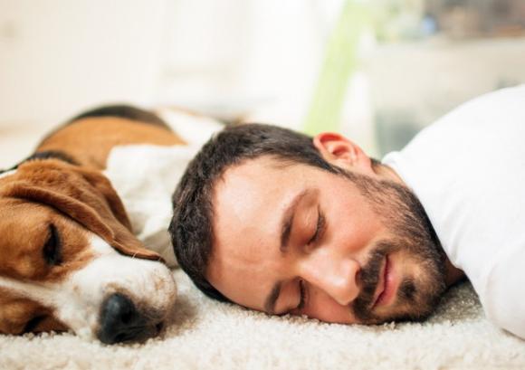 Dormire con il proprio animale domestico fa davvero bene alla tua salute, lo rivela uno studio