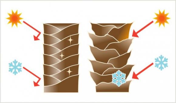 8 rimedi facili e veloci per ottenere capelli lisci, setosi e lucenti