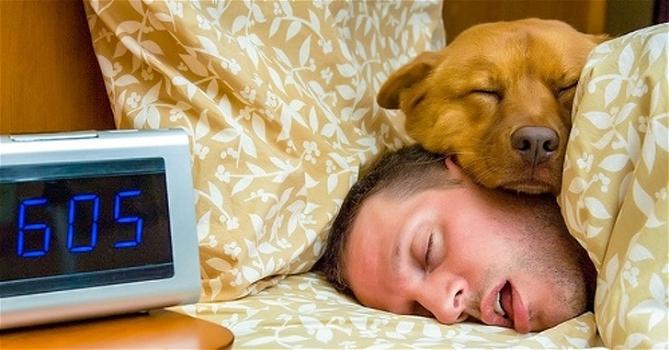 Dormire con il proprio animale domestico fa davvero bene alla tua salute, lo rivela uno studio