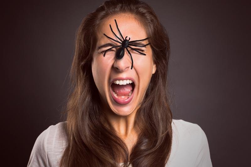 Sognare ragni è molto comune e può rappresentare la manifestazione onirica di una fobia