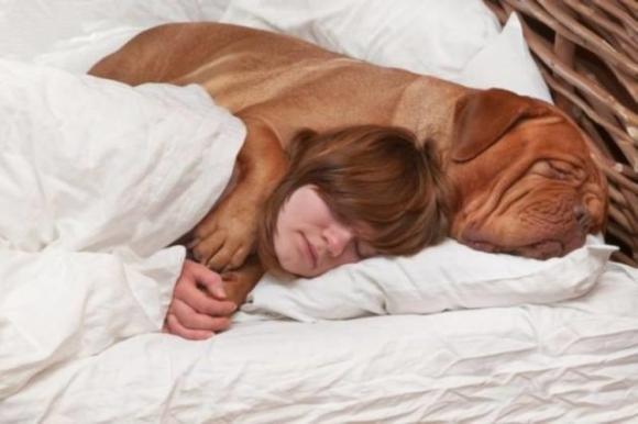 Dormire con il proprio animale domestico fa davvero bene alla tua salute, lo rivela uno studio