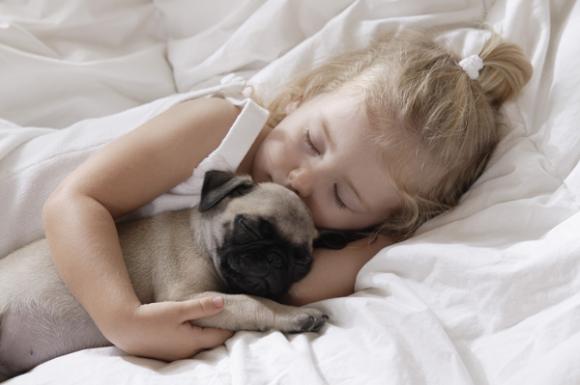 Dormire con il proprio animale domestico fa davvero bene alla tua salute, lo rivela uno studio