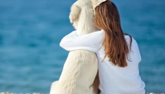 Adottare un cane migliora la vita: fa bene al cuore e cura la depressione