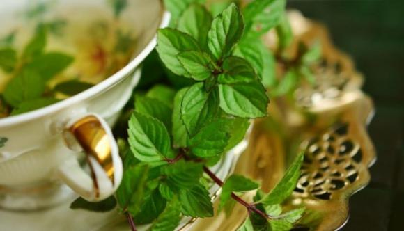 Menta, la migliore amica delle donne. Scopri tutti i suoi benefici: