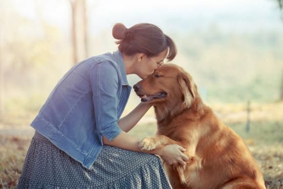 Adottare un cane migliora la vita: fa bene al cuore e cura la depressione