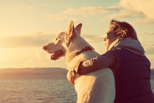 Adottare un cane migliora la vita: fa bene al cuore e cura la depressione