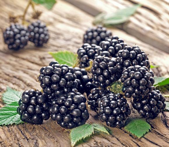 I numerosi benefici delle more sulla nostra salute