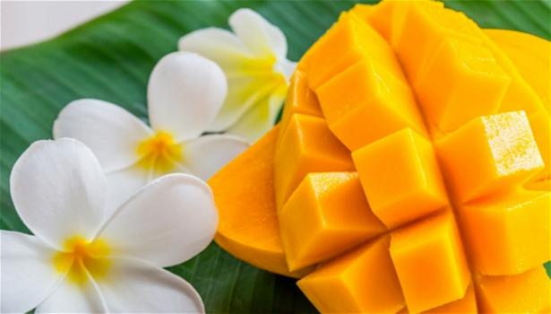 Mango, il frutto miracoloso: tutti i benefici, le proprietà nutrizionali, terapeutiche e dietetiche