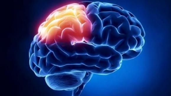 Ecco come puoi salvare una persona colpita da ictus cerebrale utilizzando solo un ago