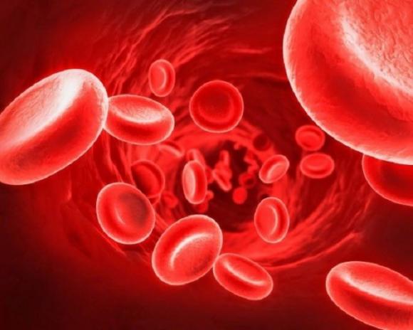 Il mistero del sangue Rh negativo: se ce l’hai potresti non essere di questo Pianeta