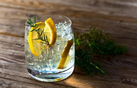 Bere gin tonic può aiutarti a perdere peso: brucia le calorie velocemente e accelera il metabolismo