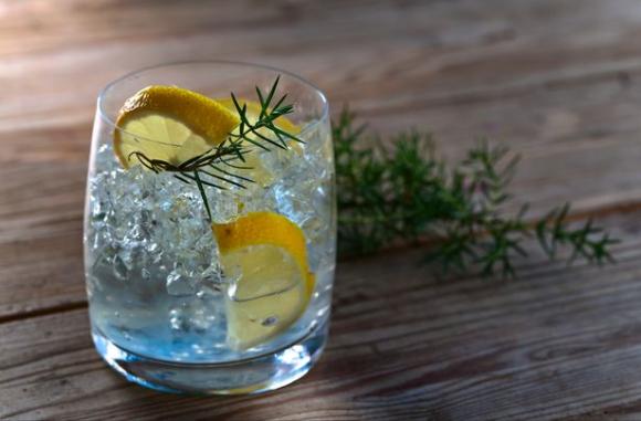 Bere gin tonic può aiutarti a perdere peso: brucia le calorie velocemente e accelera il metabolismo