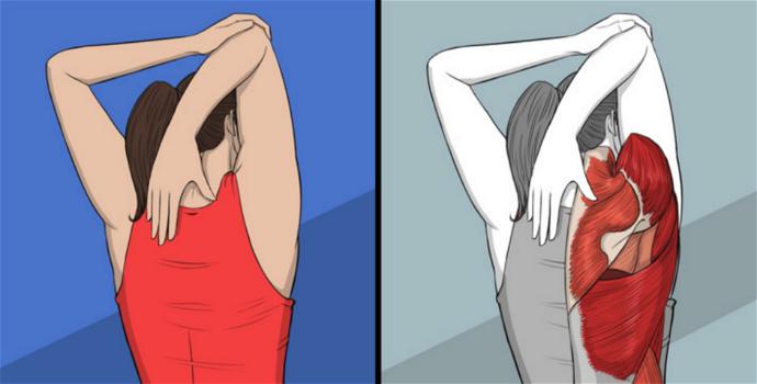 9 esercizi di stretching che puoi fare a casa: sono di grande beneficio per la tua mente e il corpo
