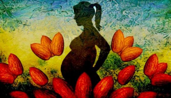 I benefici delle mandorle durante la gravidanza