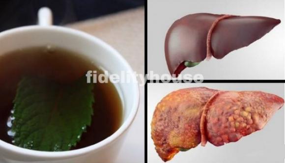 8 tisane da bere prima di dormire per disintossicare il fegato e bruciare i grassi. L’ultima fa davvero miracoli!