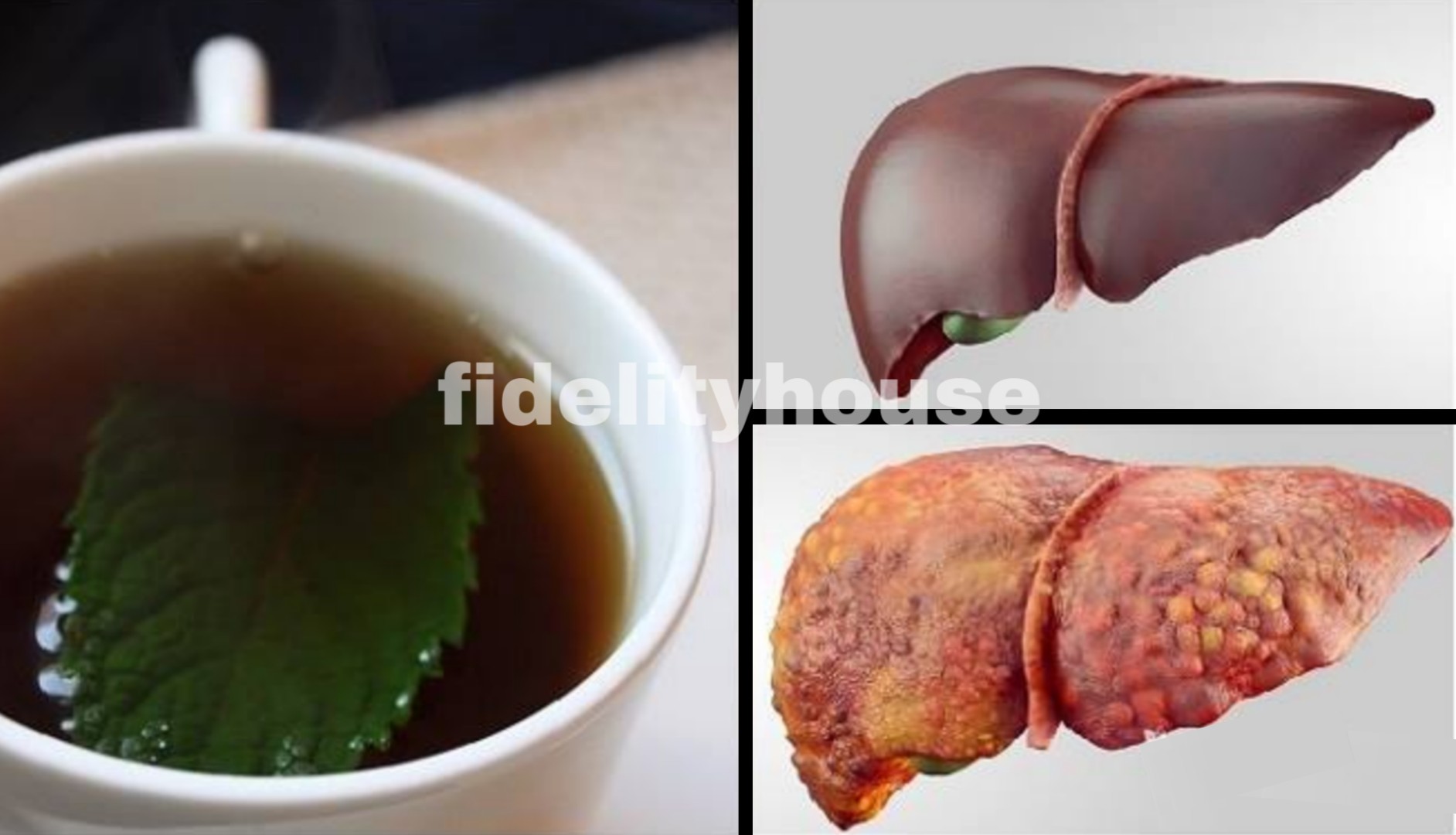 8 tisane da bere prima di dormire per disintossicare il fegato e