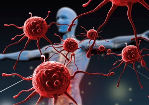Aglio, l’antibiotico naturale per eccellenza: combatte polmonite, tosse, raffreddore e infezioni dell’orecchio