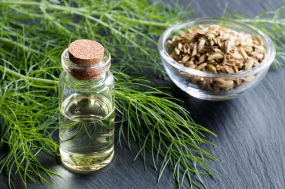 Pancia gonfia addio: le cause più comuni e 7 rimedi naturali per ritrovare il benessere