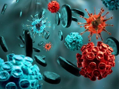 Aglio, l’antibiotico naturale per eccellenza: combatte polmonite, tosse, raffreddore e infezioni dell’orecchio
