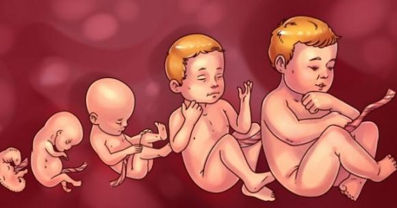Alimentazione in gravidanza: i cibi più adatti e quelli da evitare per contribuire alla formazione di un bimbo sano
