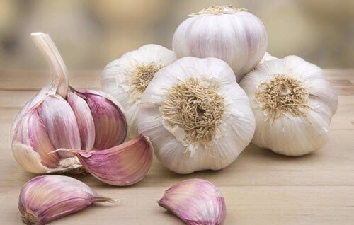 Aglio, l’antibiotico naturale per eccellenza: combatte polmonite, tosse, raffreddore e infezioni dell’orecchio