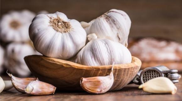 Aglio, l’antibiotico naturale per eccellenza: combatte polmonite, tosse, raffreddore e infezioni dell’orecchio