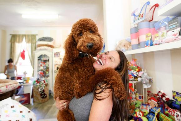 Perché i nostri cani ci salutano quando torniamo a casa e mai quando andiamo via? Ecco il motivo