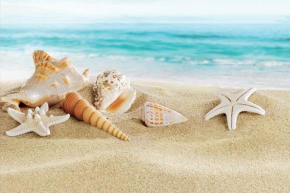 Gli scienziati lo confermano: guardare il mare produce cambiamenti nel cervello che ci rendono più felici