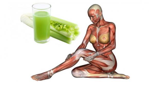 Ecco cosa accade al tuo corpo se bevi succo di sedano ogni giorno