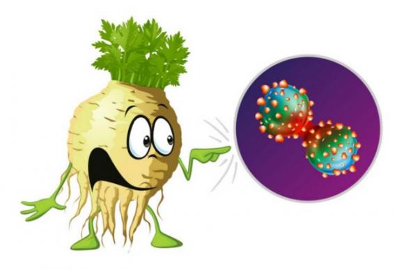 Ecco cosa accade al tuo corpo se bevi succo di sedano ogni giorno