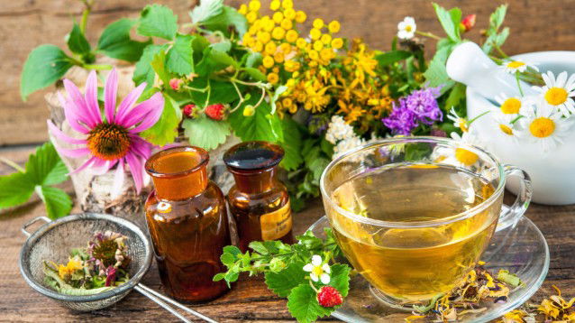 La fitoterapia per smaltire gli eccessi alimentari