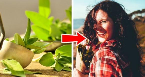 Eliminare i capelli bianchi in giovane età: ecco 7 rimedi naturali