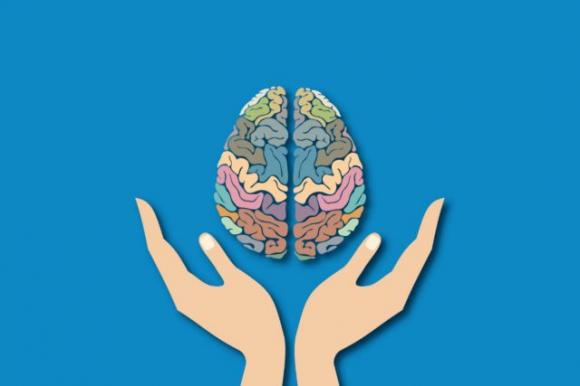 L’olio extra-vergine di oliva protegge il cervello dall’Alzheimer