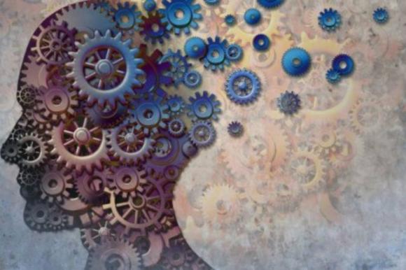 L’olio extra-vergine di oliva protegge il cervello dall’Alzheimer