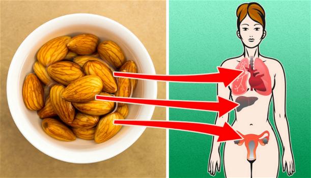 4 cose che accadono al tuo corpo se inizi a mangiare un pugno di mandorle al giorno